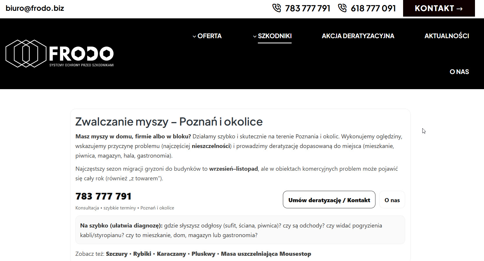 Deratyzacja - na czym polega i kiedy należy ją przeprowadzić?