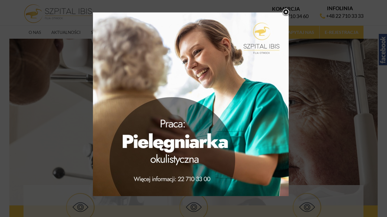 Podgląd strony Szpital IBIS